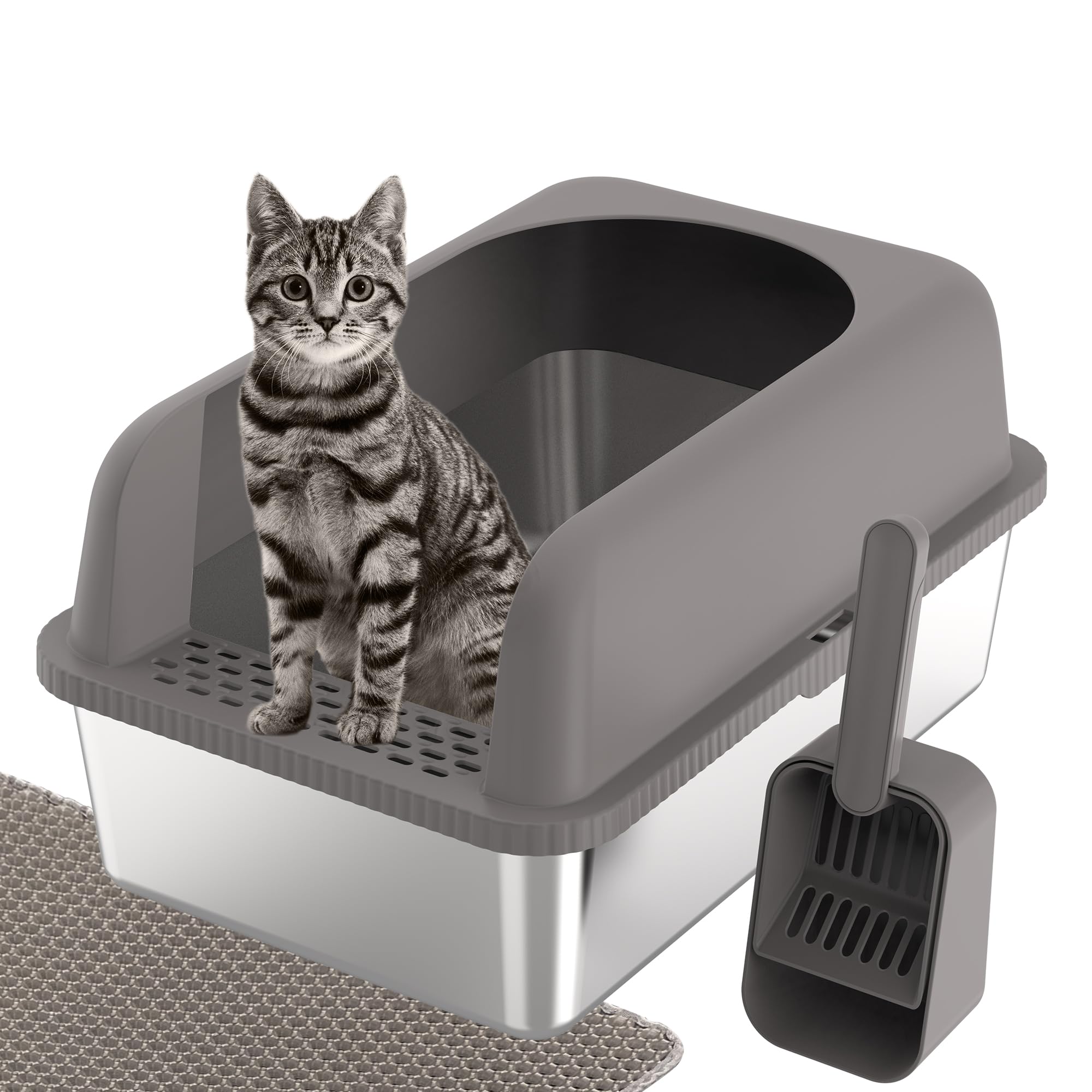 Cat litter box for big cats best sale