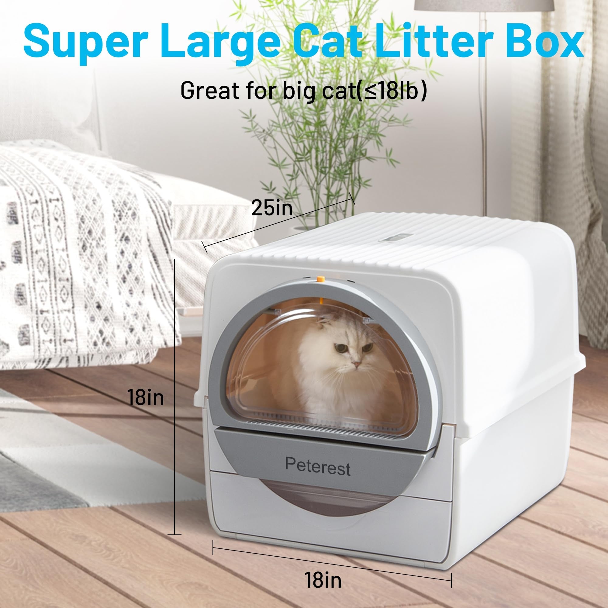 Free cat box best sale