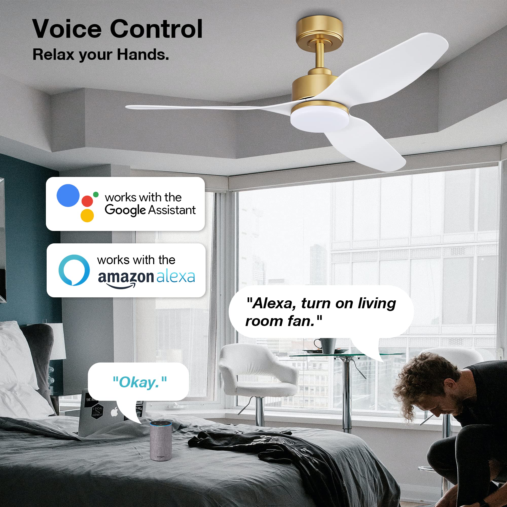 359-GW 48 Inch Smart Ceiling Fans with Lights and Remote Control